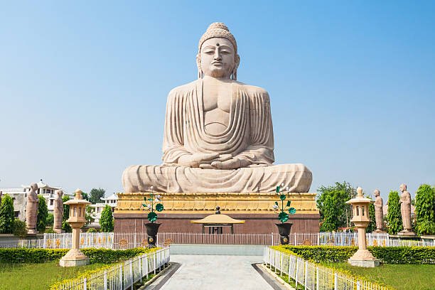 medical in india